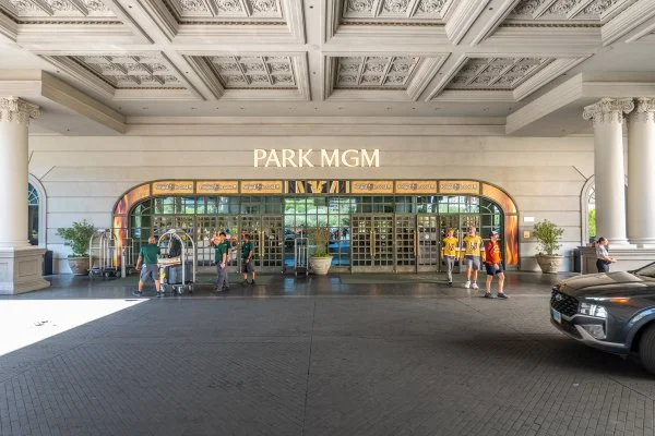 VGK Game 6 Park MGM-02.jpg