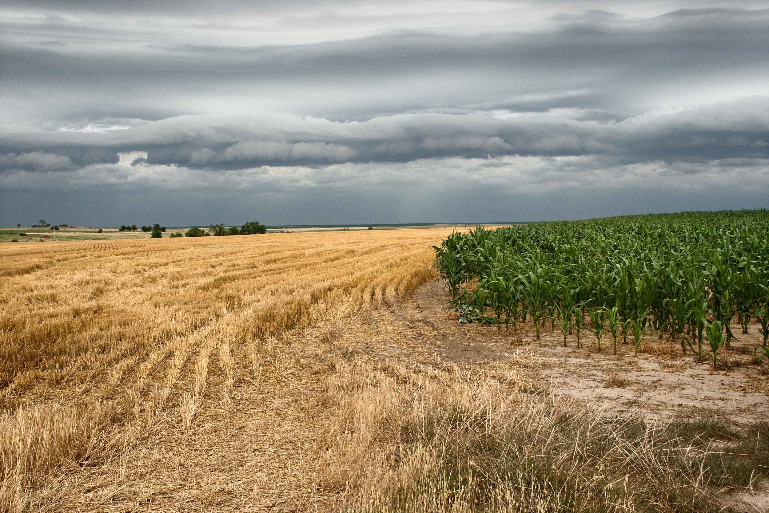 Kansas-Storm-Clouds-p-sm.jpg