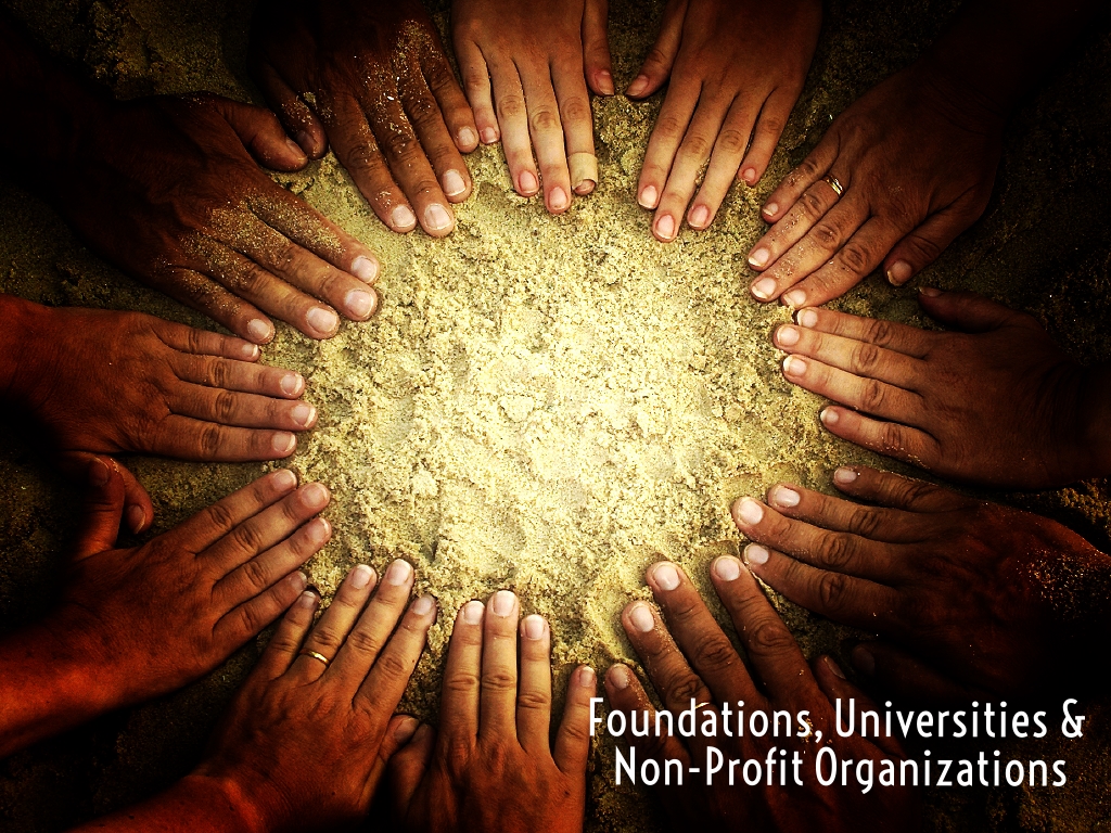 Foundations & Non-Profit Organizations