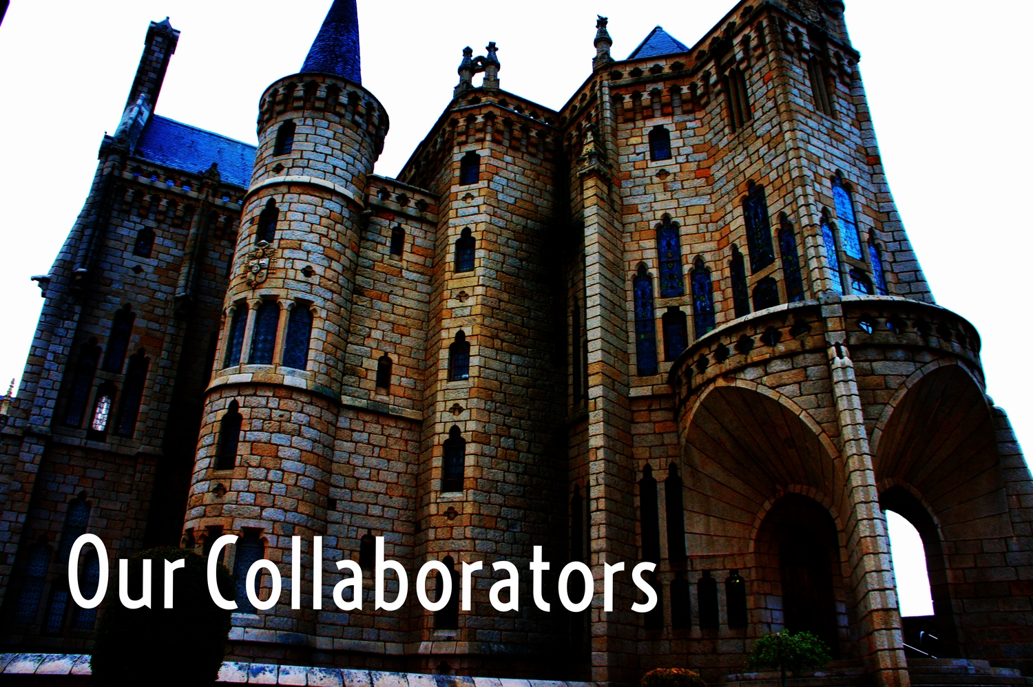 our collaborators.jpeg