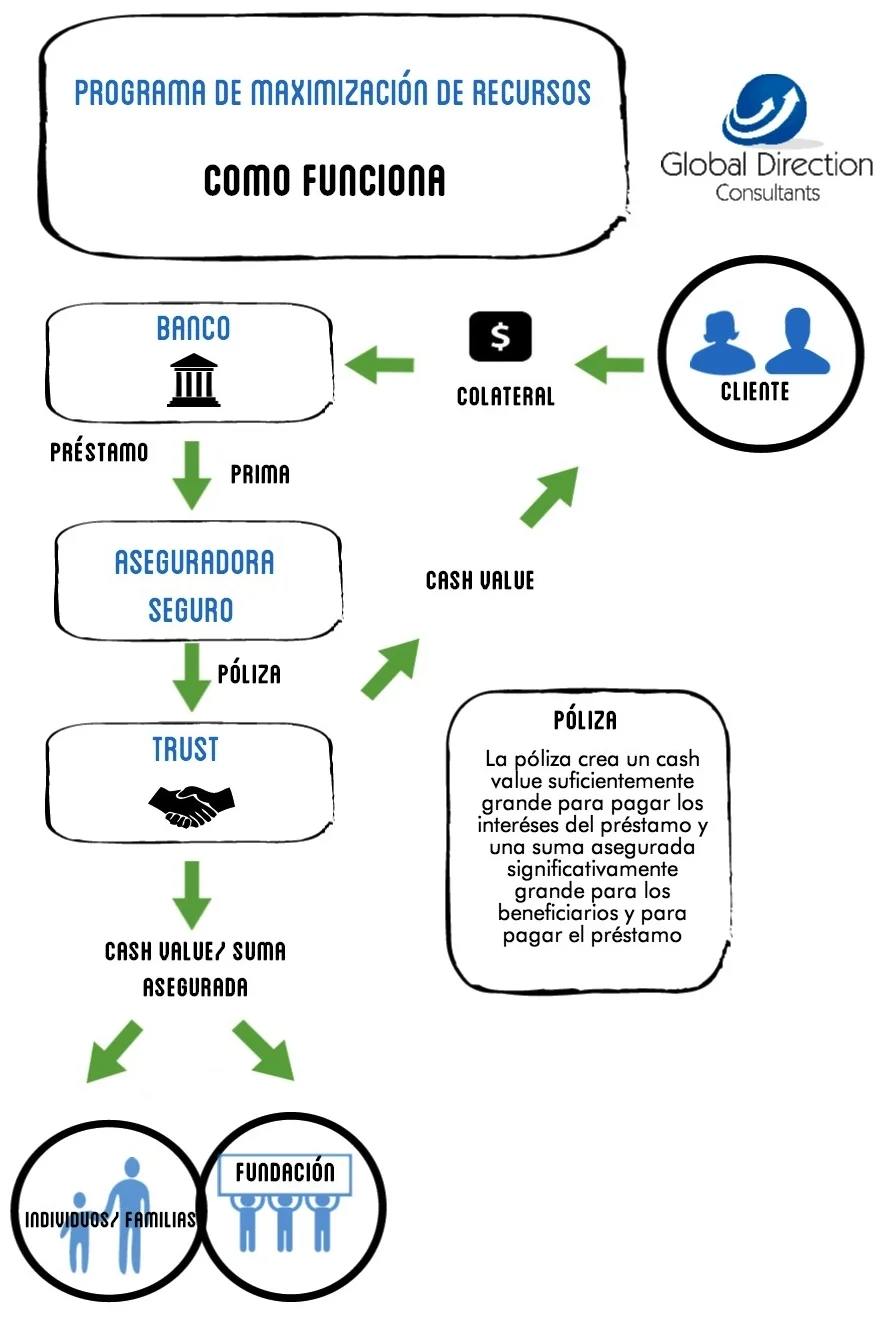 INFOGRAPHIC WEBSITE.png