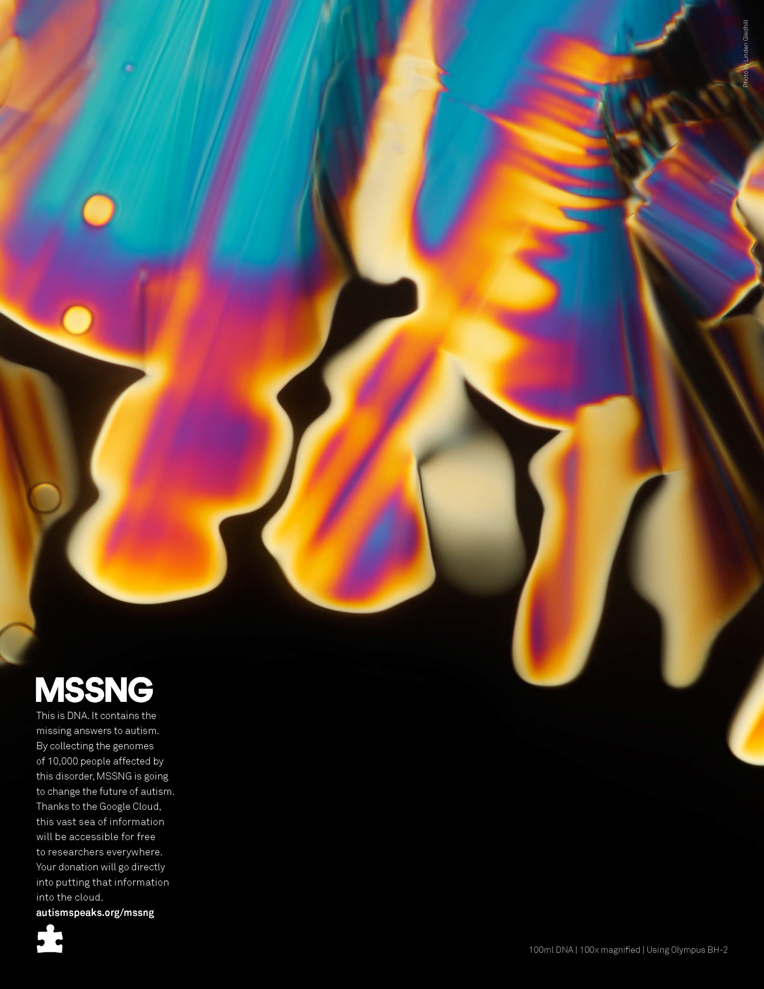 mssng_printV3B_Page_2.jpg
