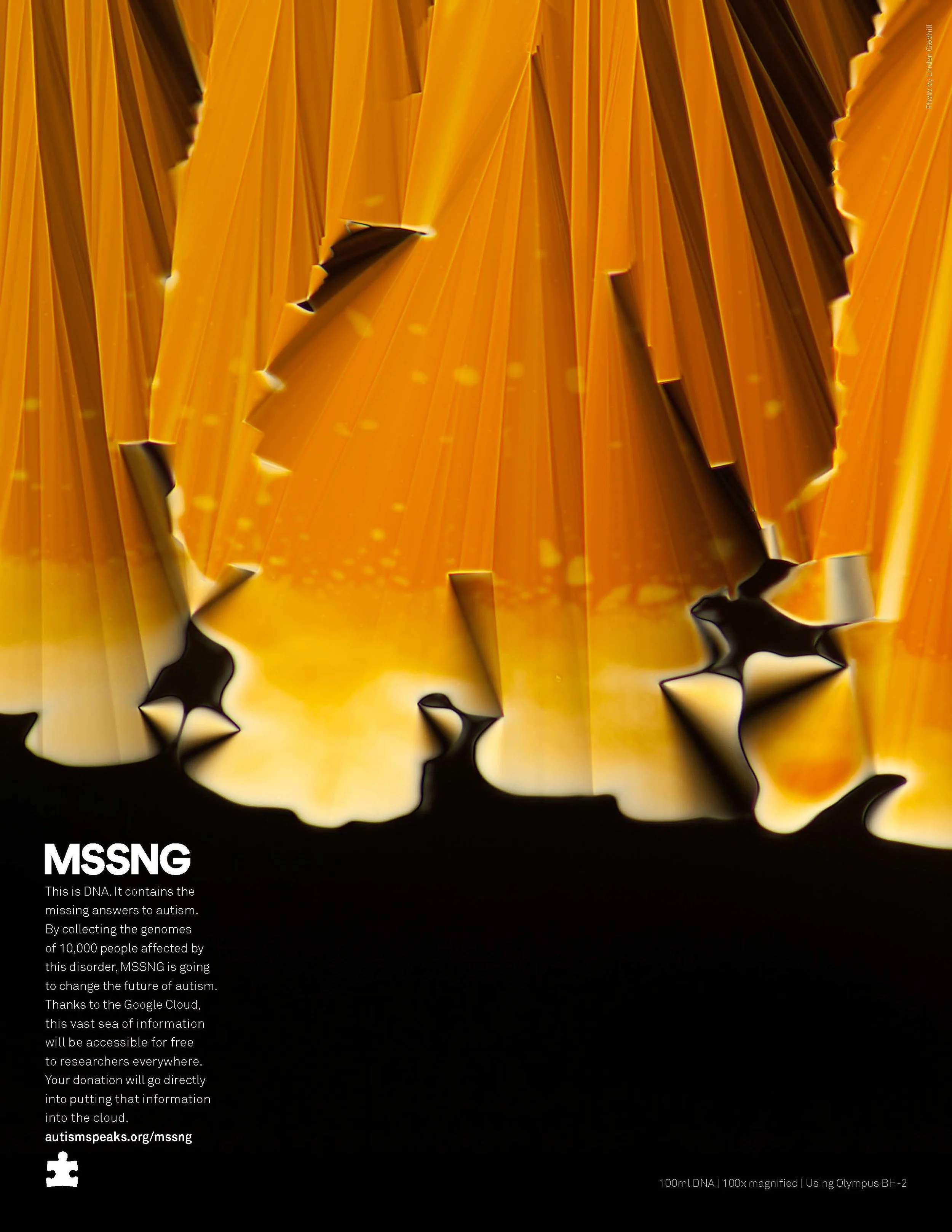 mssng_printV3B_Page_7.jpg