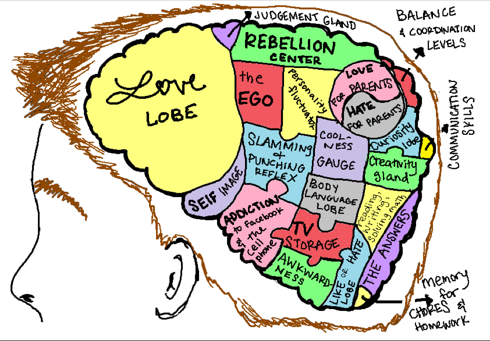 Brain.png