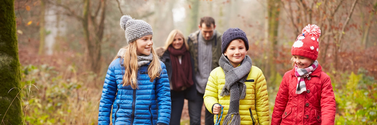 Harmony at Home Family Assessment and 90-minute Follow Up Session