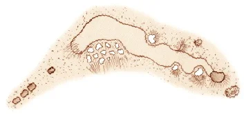 hole-11.jpg
