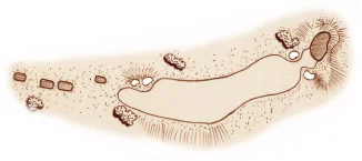 hole-15.jpg
