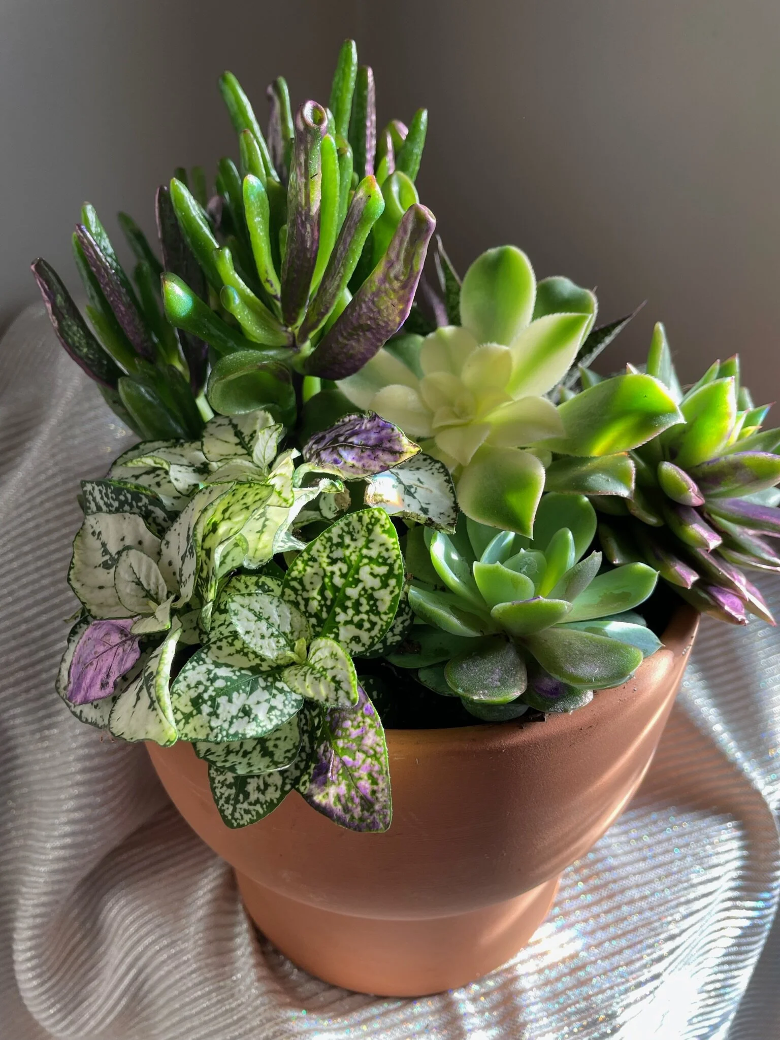 3A5383CD-5DBB-467E-84BA-93CAD111C7FC