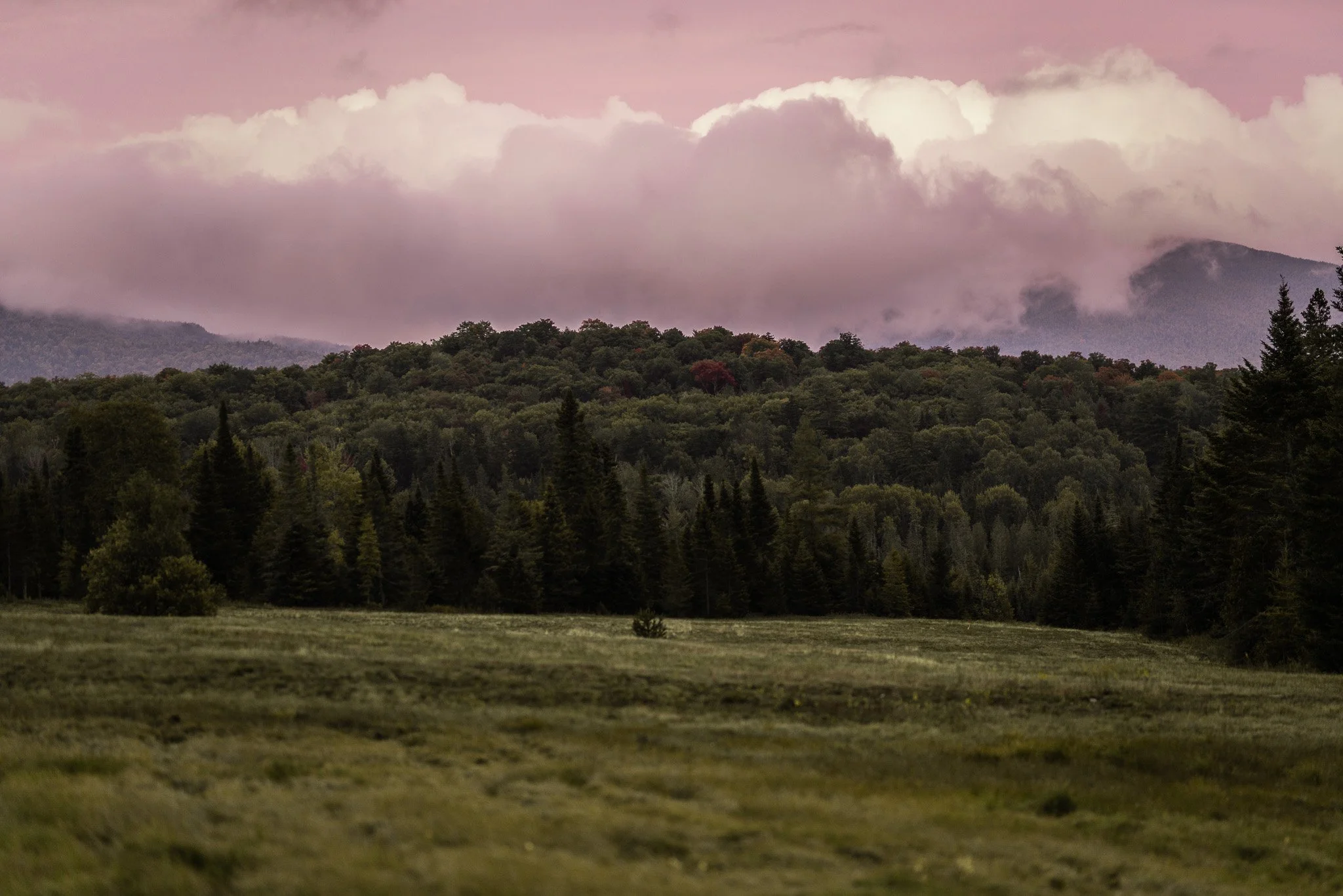 _DSC9797.jpg