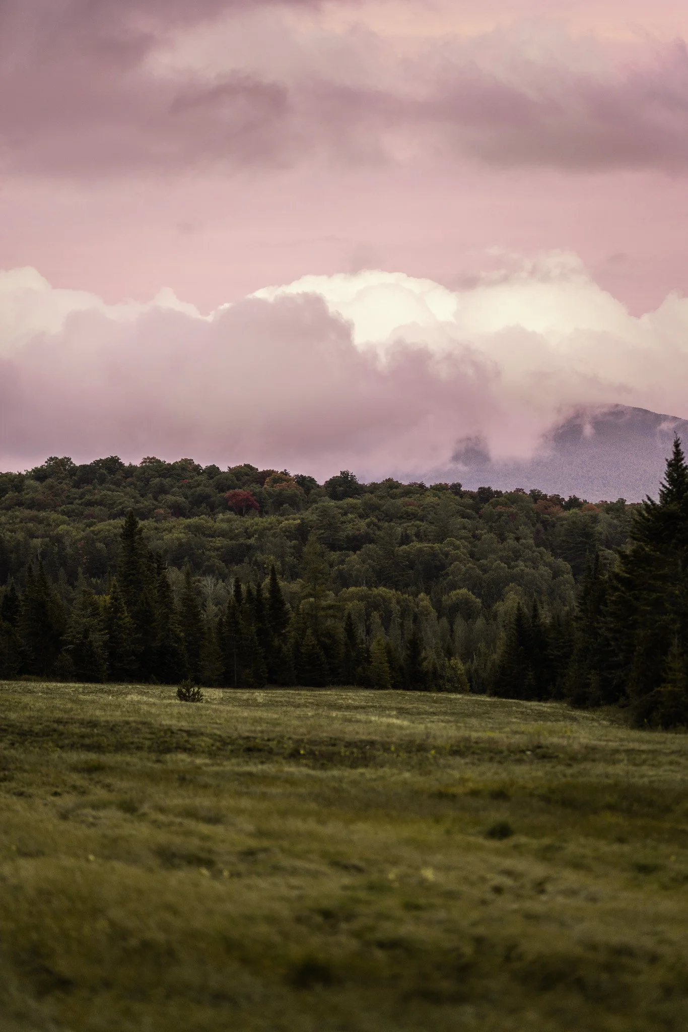 _DSC9793.jpg
