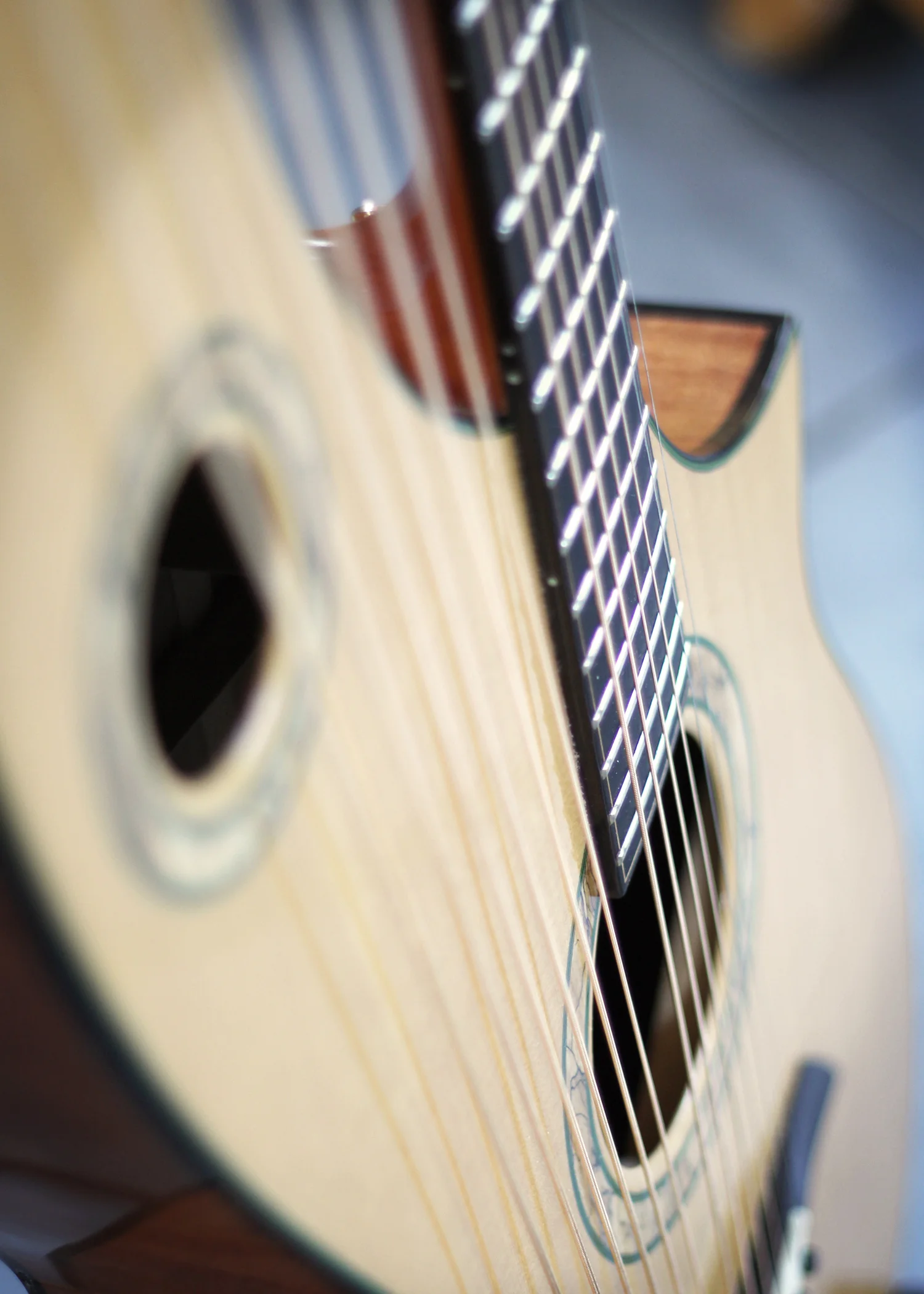 harp guitar soundboard color.jpg