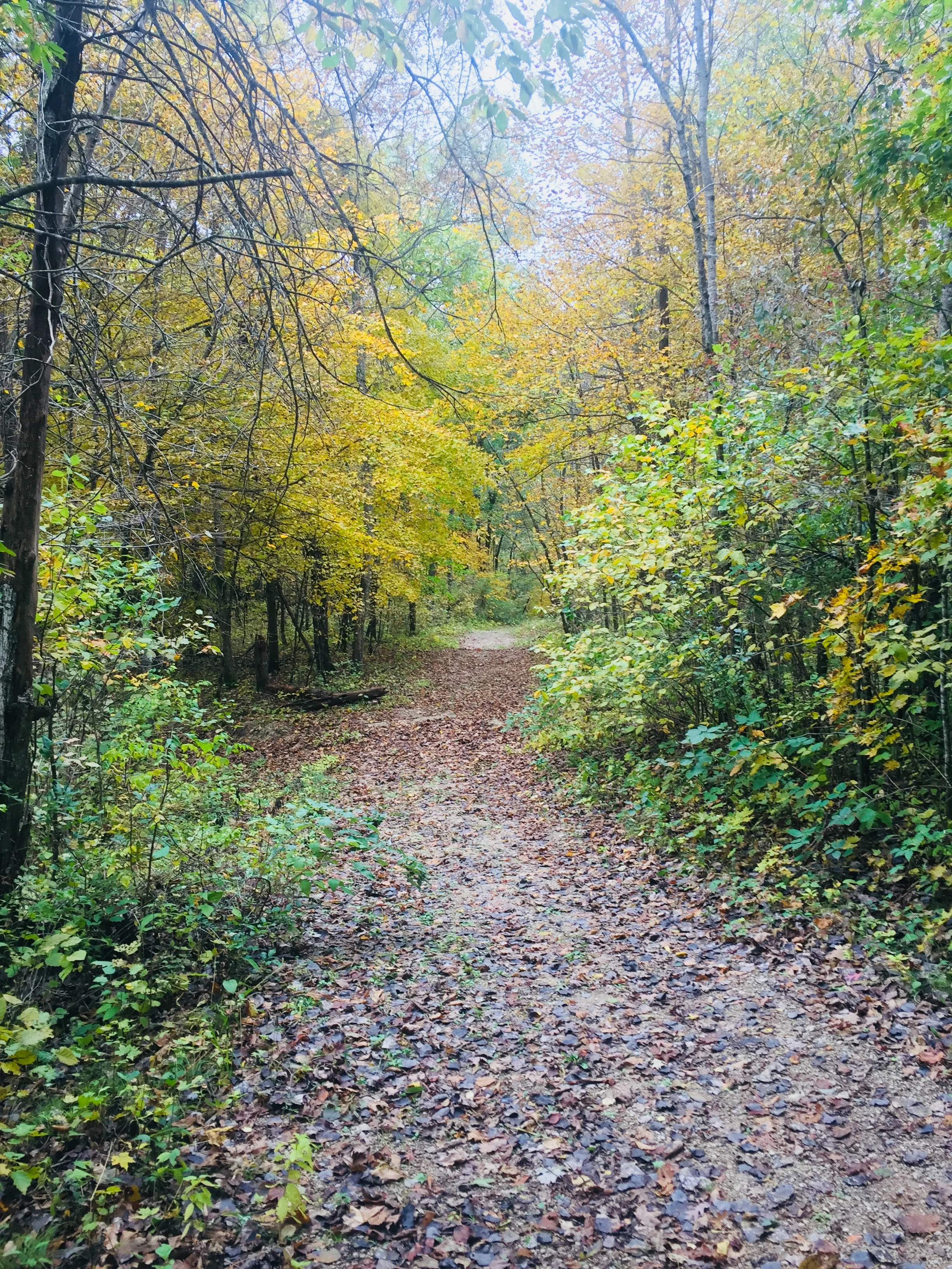 20181006_190836928_iOS.jpg