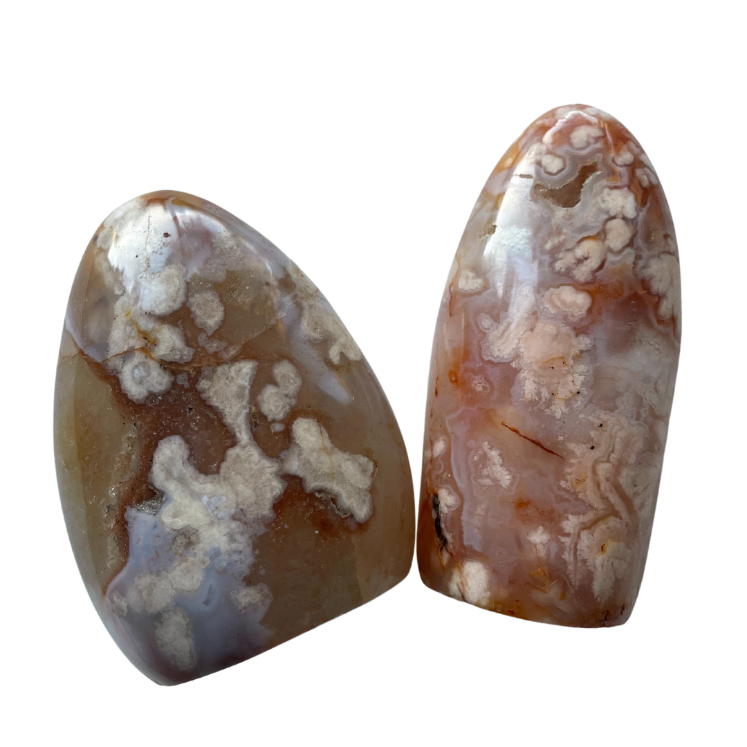 Copy of Copy of Copy of Copy of Copy of Copy of Copy of Copy of Copy of Copy of Copy of Copy of Copy of Copy of Untitled.png