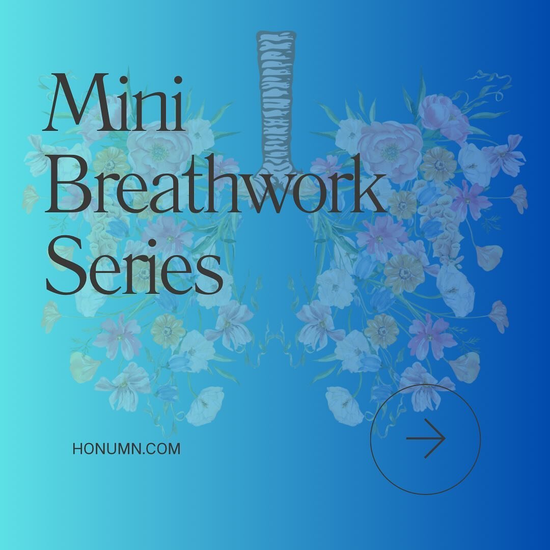 The Mini Breathwork Series starts next Friday, Feb. 9,
at 10 am at Honu!! Have you been curious about Breathwork? Or tried it but weren&rsquo;t able to maintain a practice? This course gives us an entrance into the really magic that is Breathwork. If