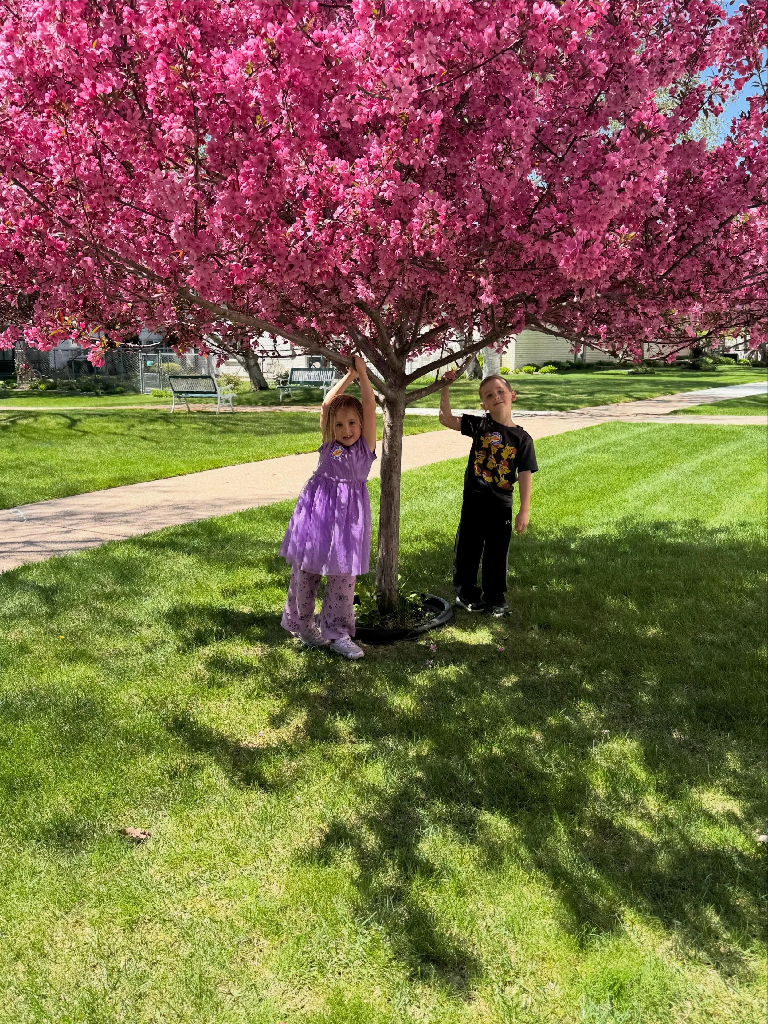 Spring time 🌱🌷☀️