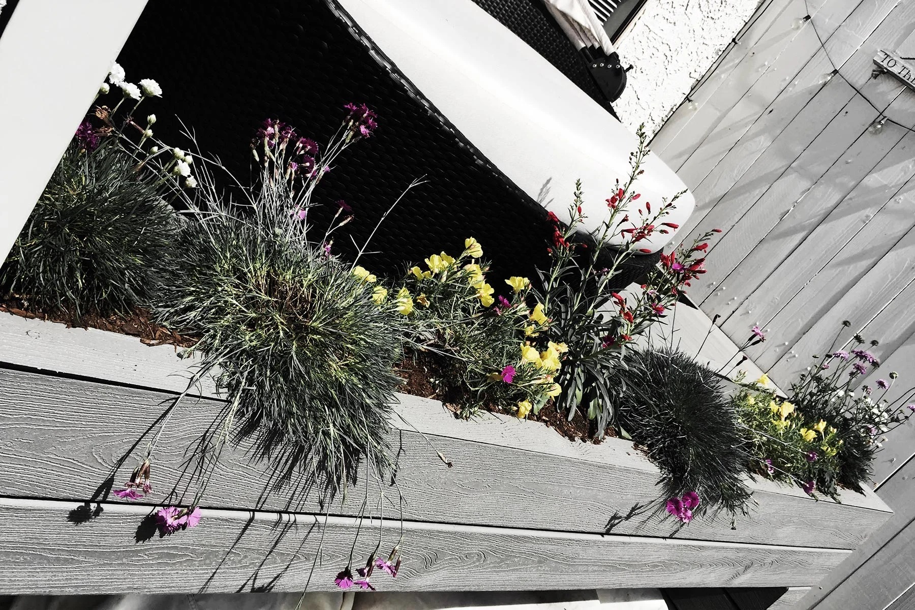 DIY: How to Plant a Flower Box in 3 Steps