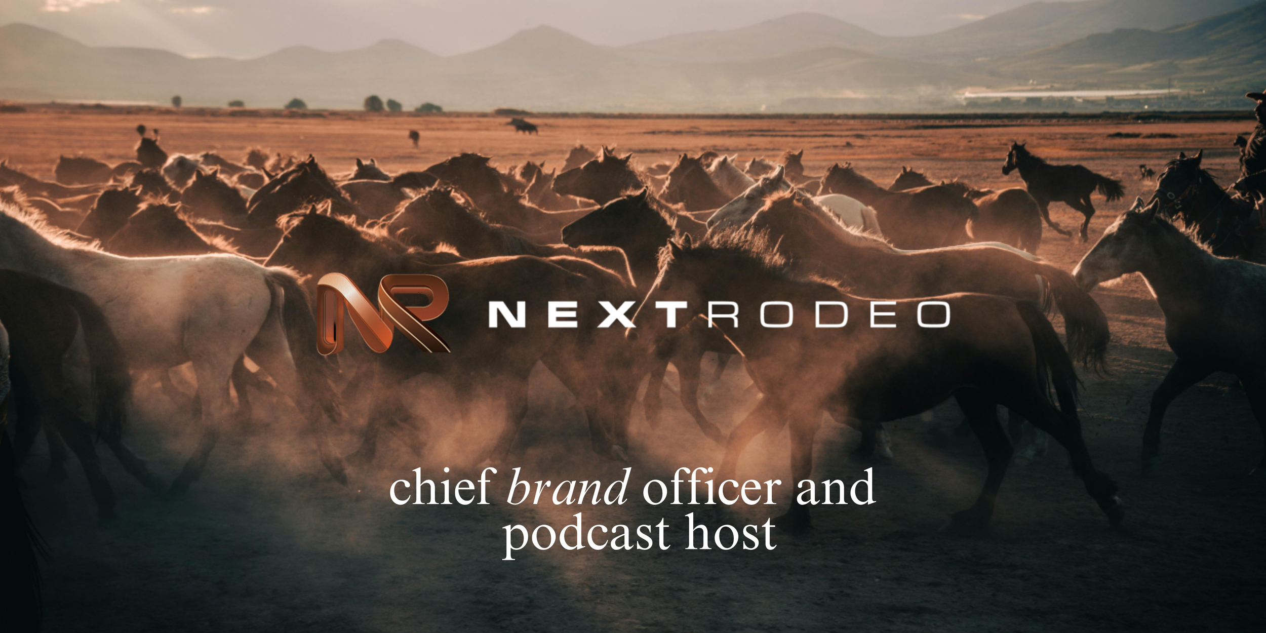 NEXT RODEO BANNER.png