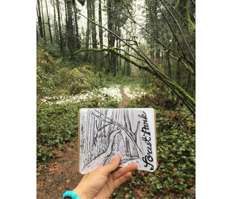 Drawn_ForestPark.jpg