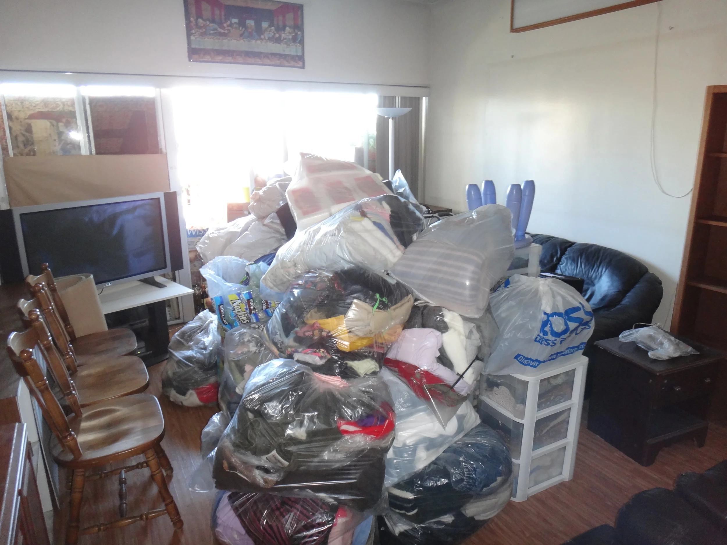 Clutter sorted, bagged and prepped for treatment.