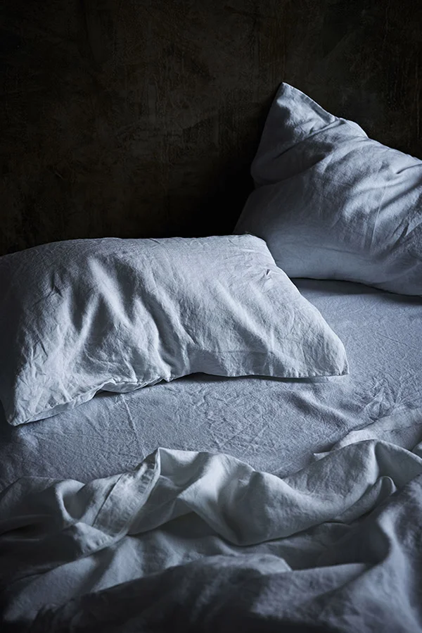 BS_Pillow_1a.jpg