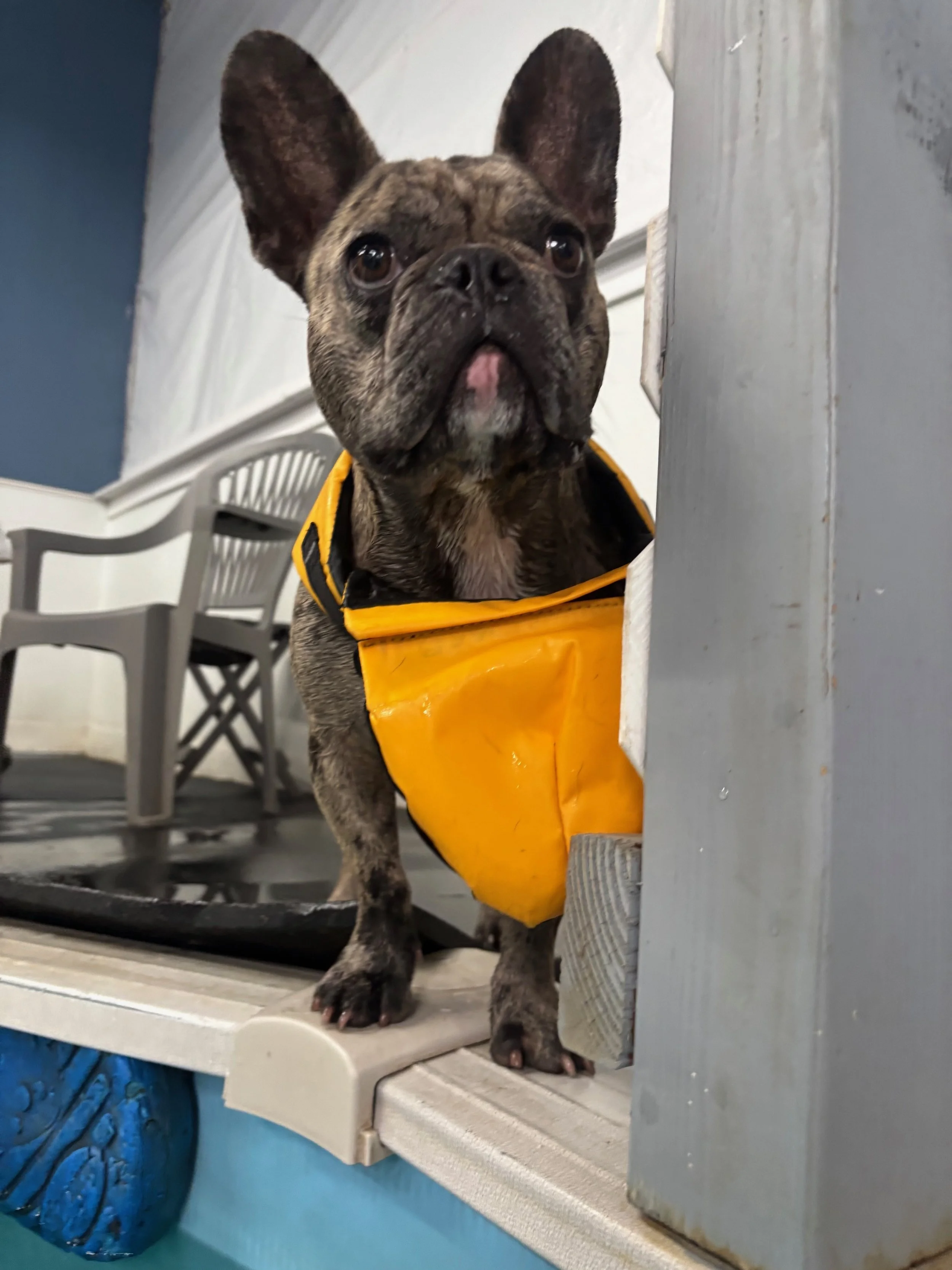 Georgie!