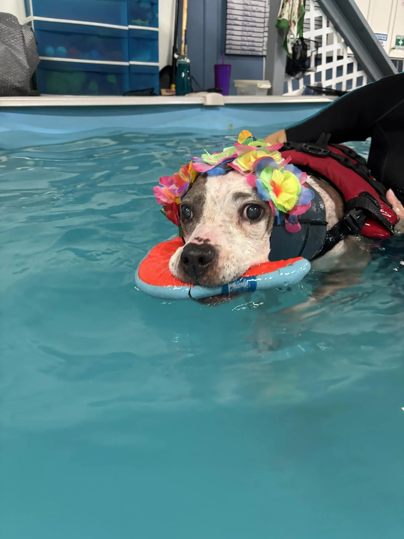 Cali looks so cute in her flower bonnet