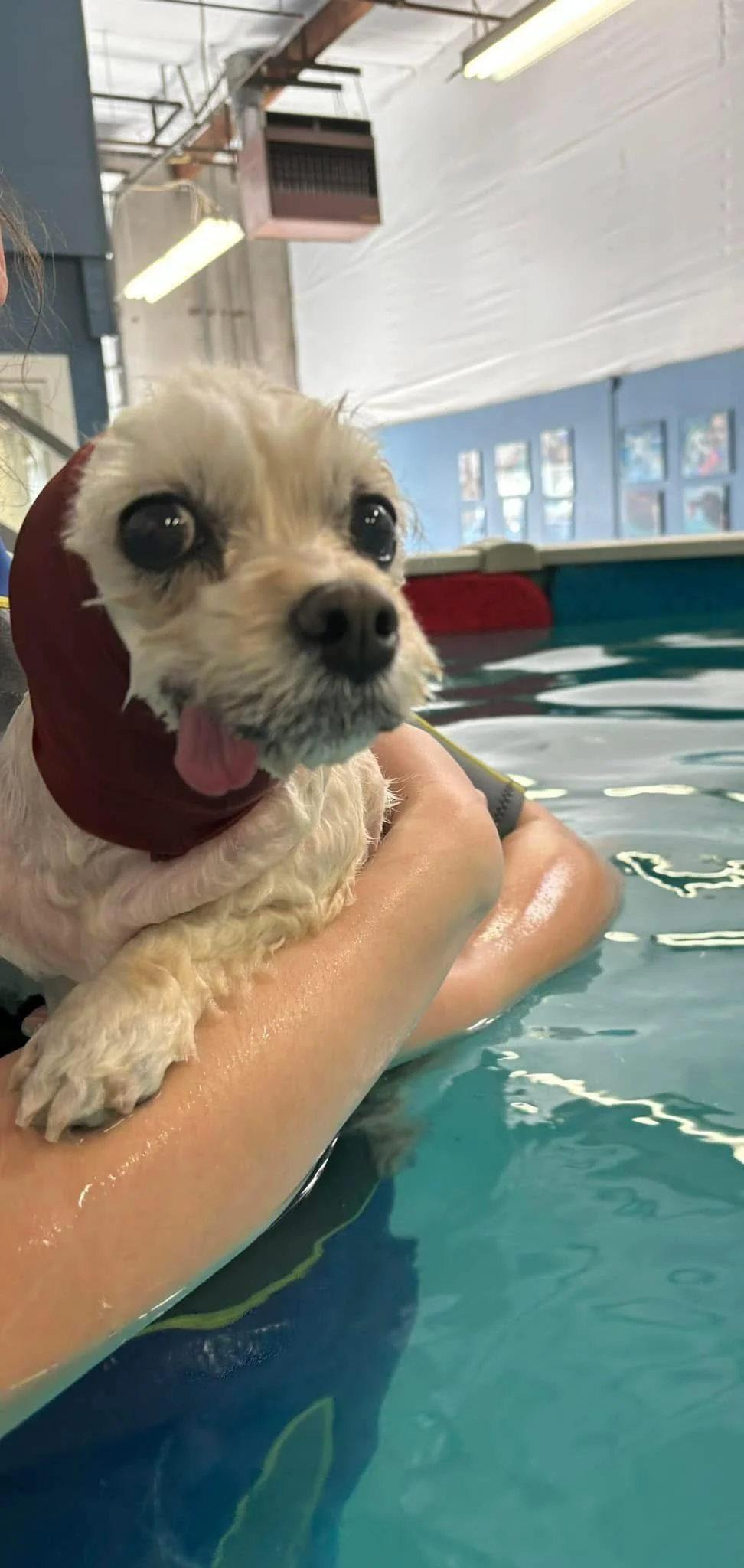 Kiko