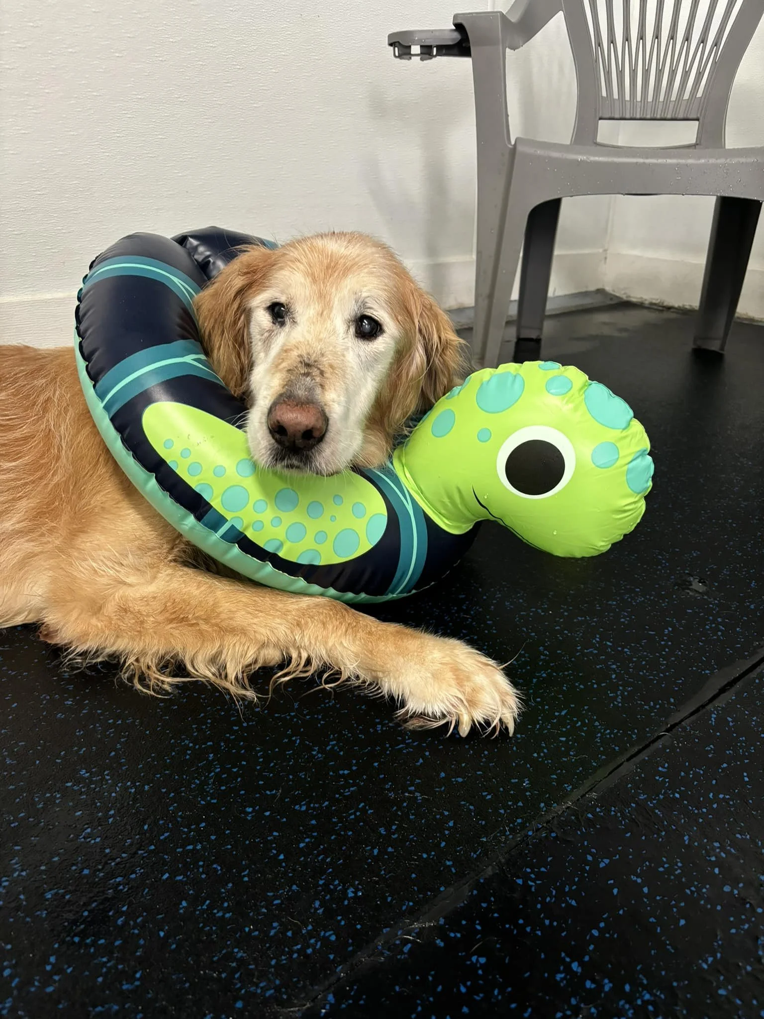 Creative idea to keep Juniors head up while he's rest and in the pool.