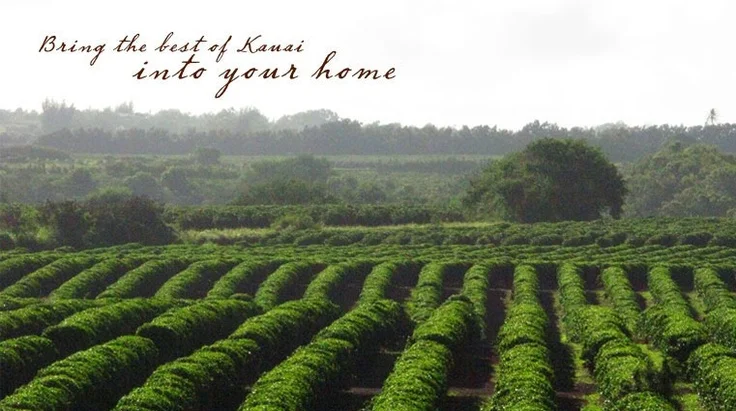 Kauai Coffee Plantation - 02.jpg
