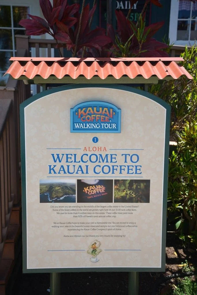 Kauai Coffee Plantation - 07.jpg