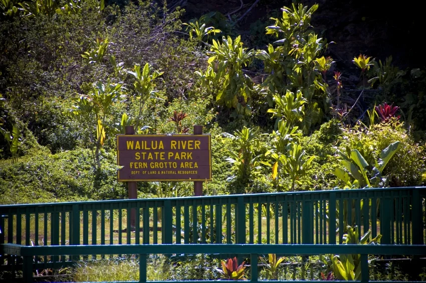 Fern Grotto - 02.jpg