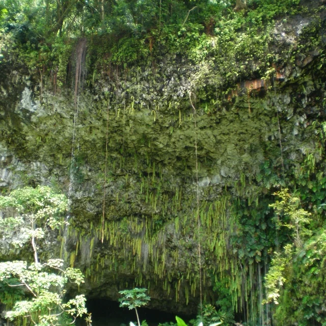 Fern Grotto - 01.jpg