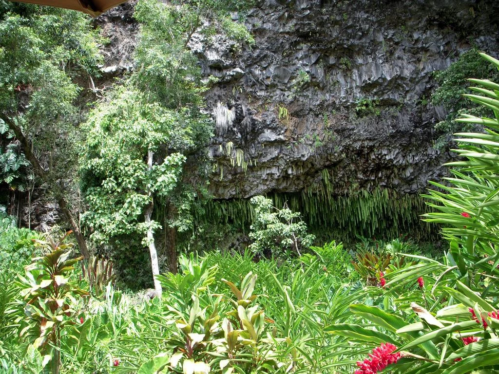 Fern Grotto - 03.jpg