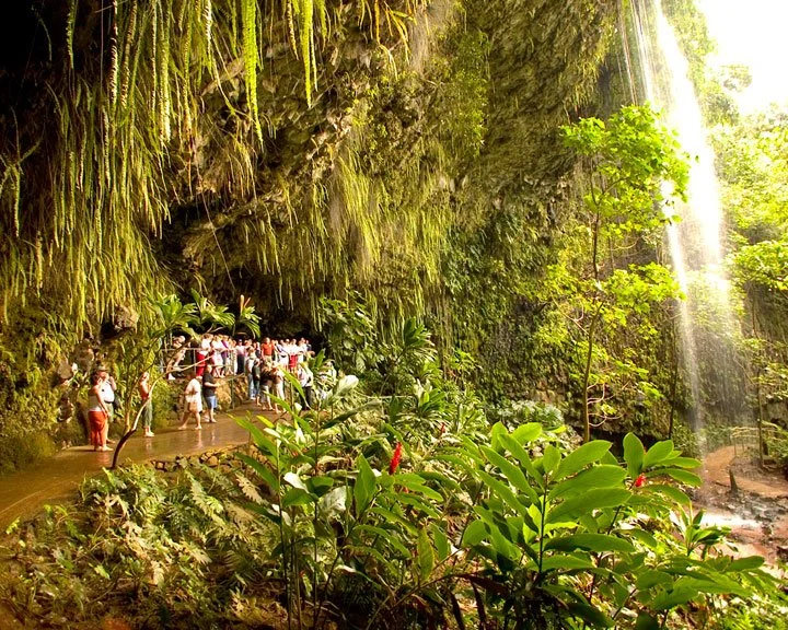 Fern Grotto - 04.jpg