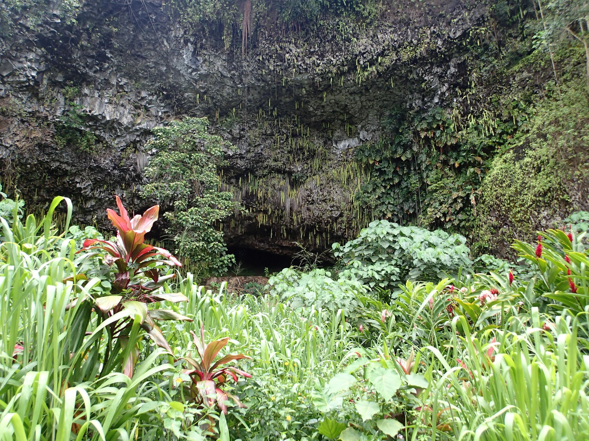 Fern Grotto - 07.jpg