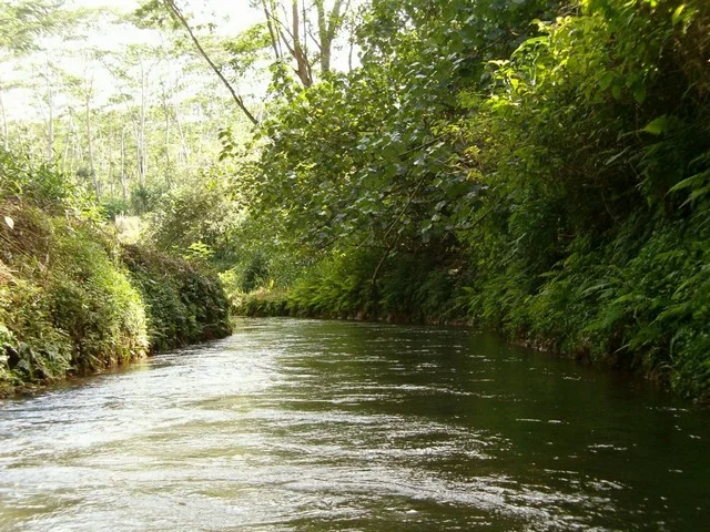 Kauai Tubing - 06.jpg