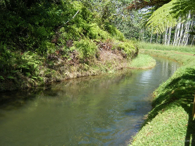 Kauai Tubing - 07.jpg