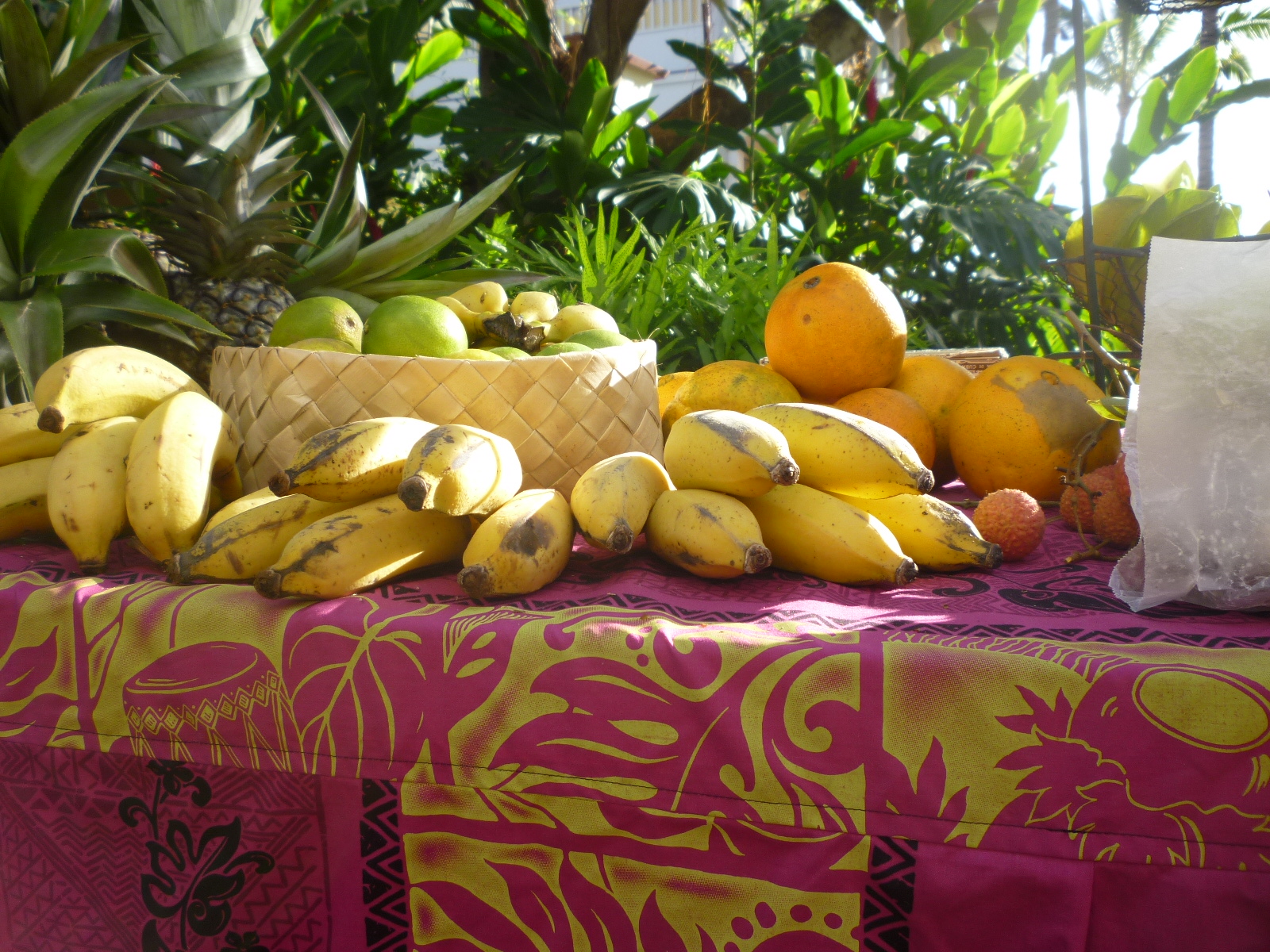 Farmer's Market - 06.jpg