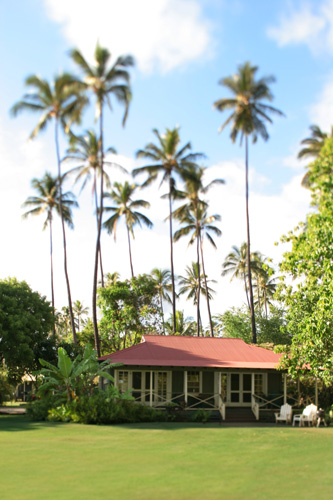 Waimea Plantation - 3.jpg