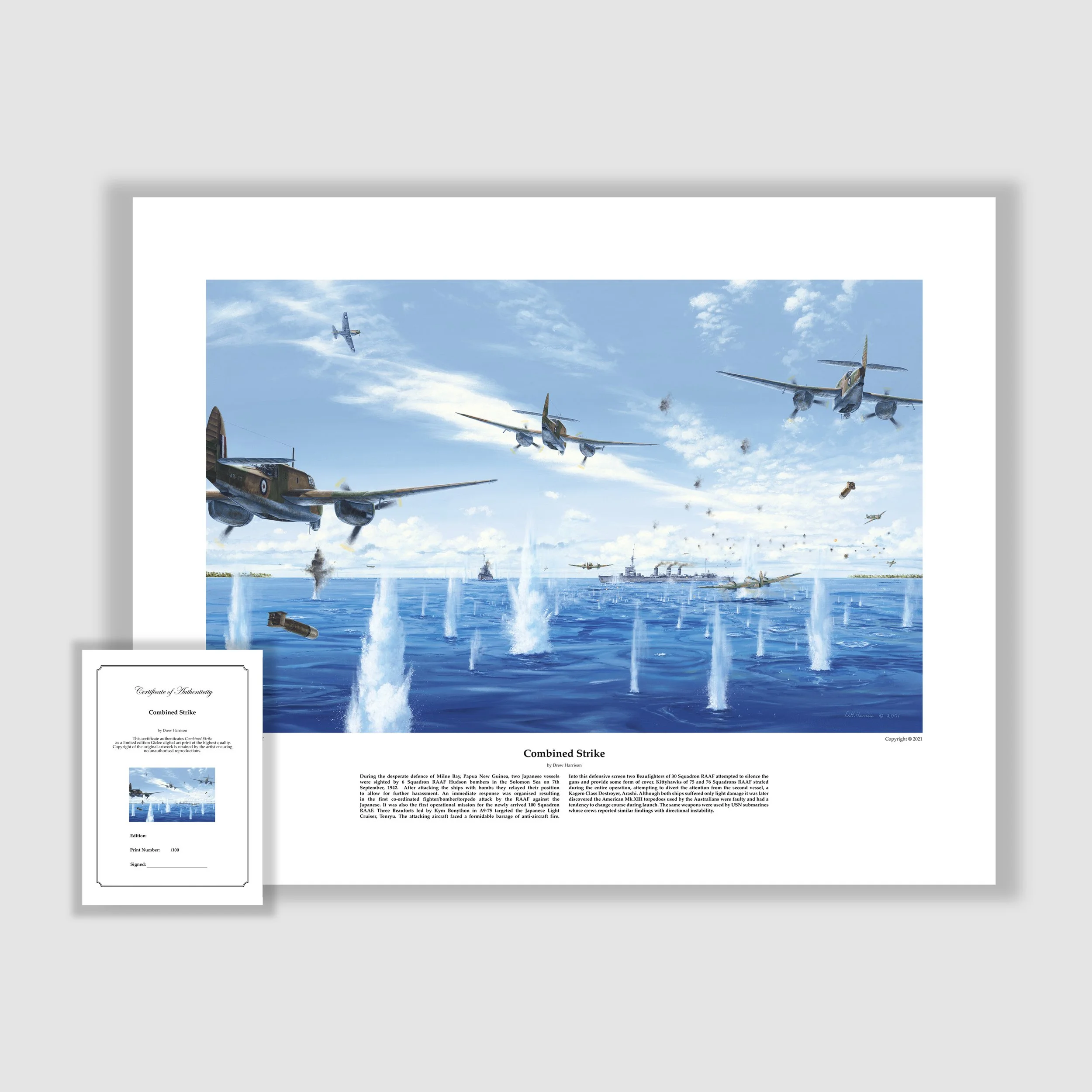 drew_harrison_print_Combined Strike(1300)_print.jpg