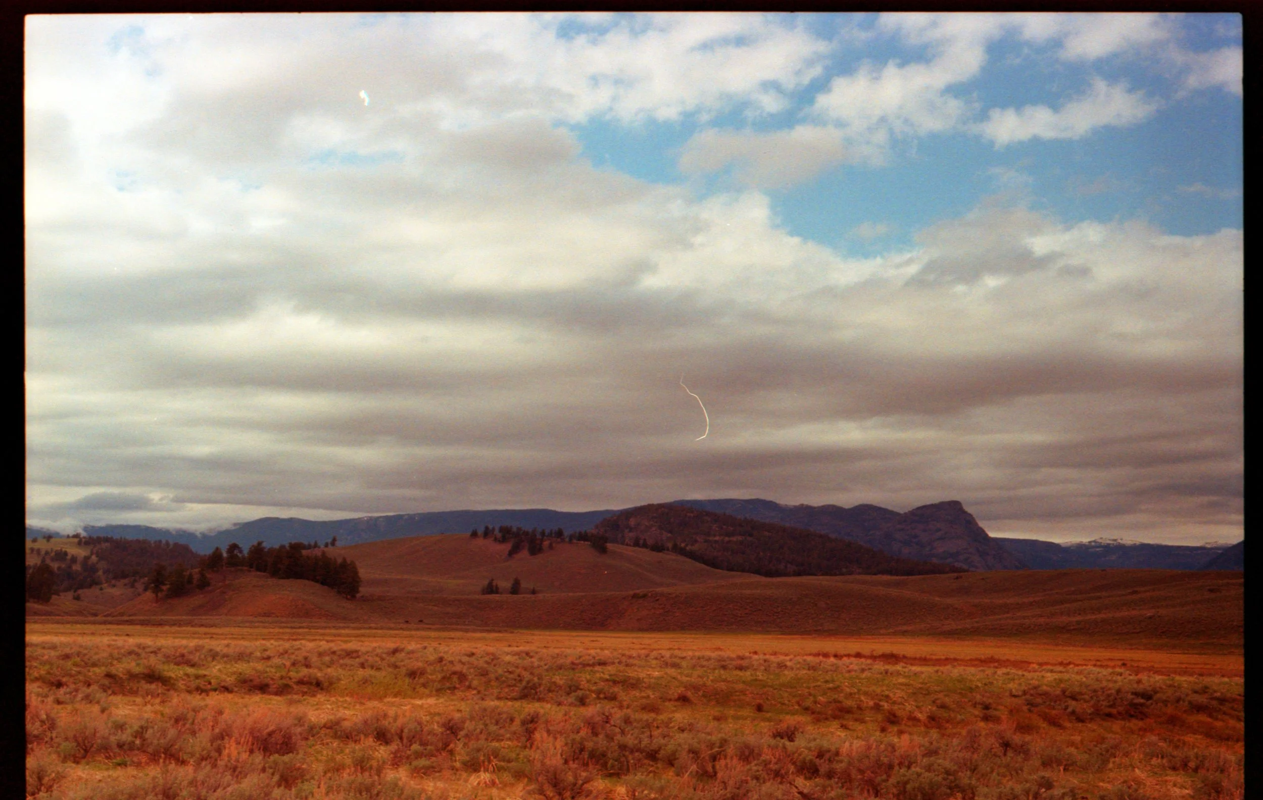 sqspyellowstone.jpg