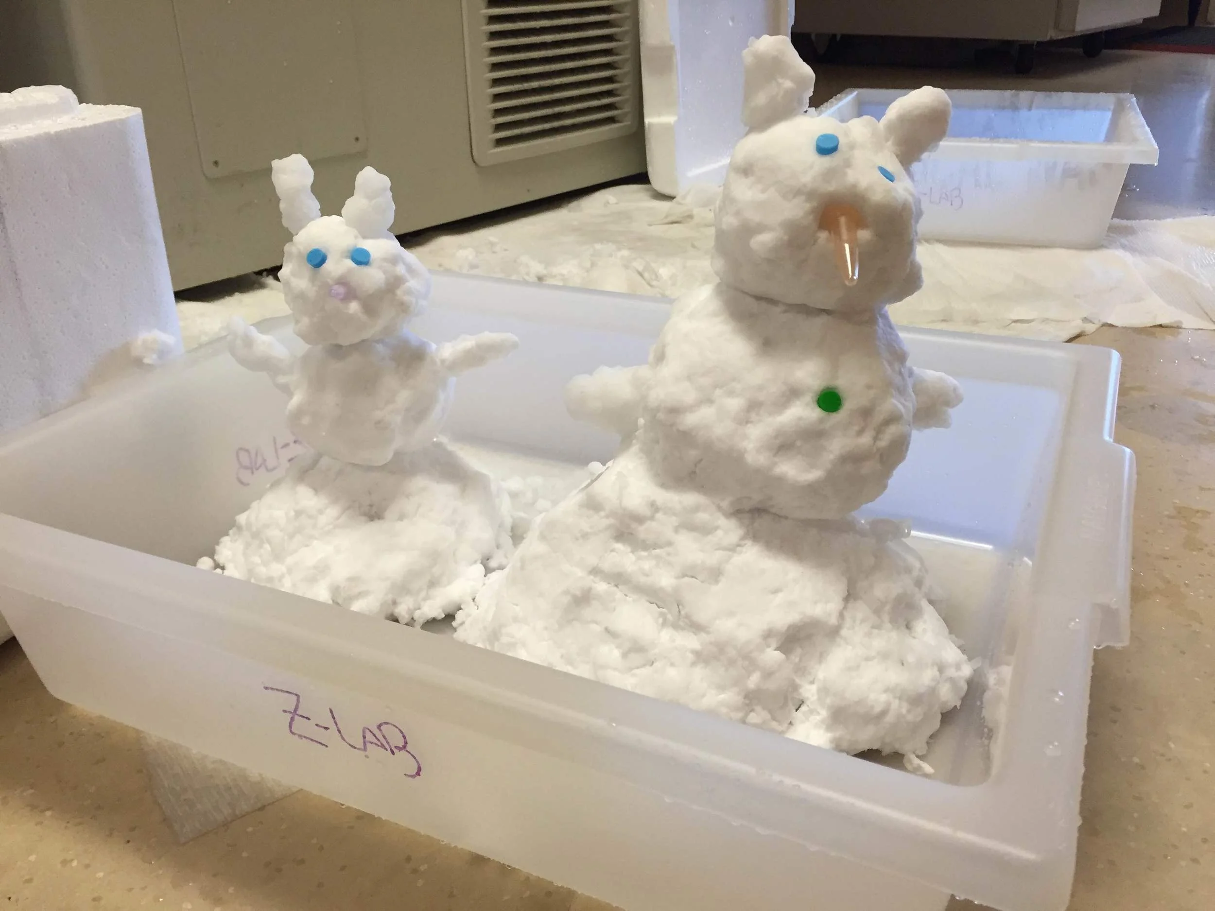 Defrosting fun_2