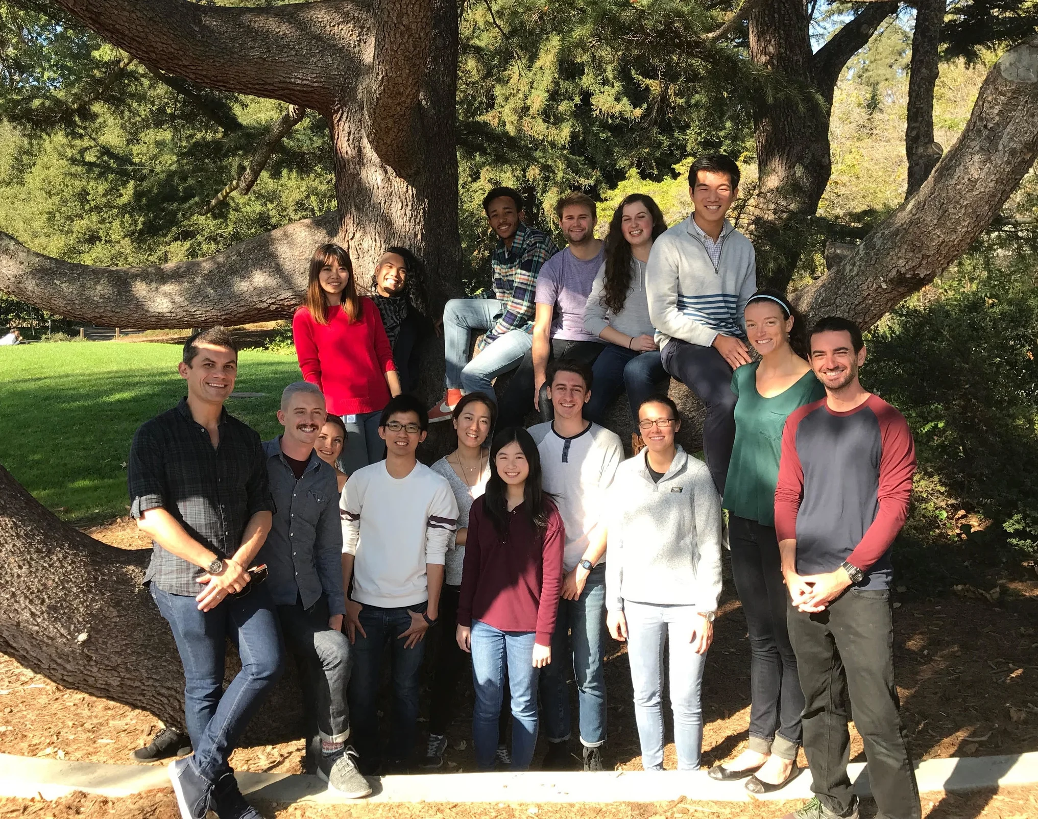 Z-Lab, October 2017. First row: Roberto Zoncu, Oliver Davis, Marie Tofaute, Chun-Yan Lim, Regina Shin, Jiayi Luo, Ben Croze, Ashley Thelen, Rosalie Lawrence, Ofer Moldavski. Second row: Yangxue Fu, Brian Castellano. On the tree: Kyle Tucker, Joseph Paul, Emma Sydir, Justin Zhang.