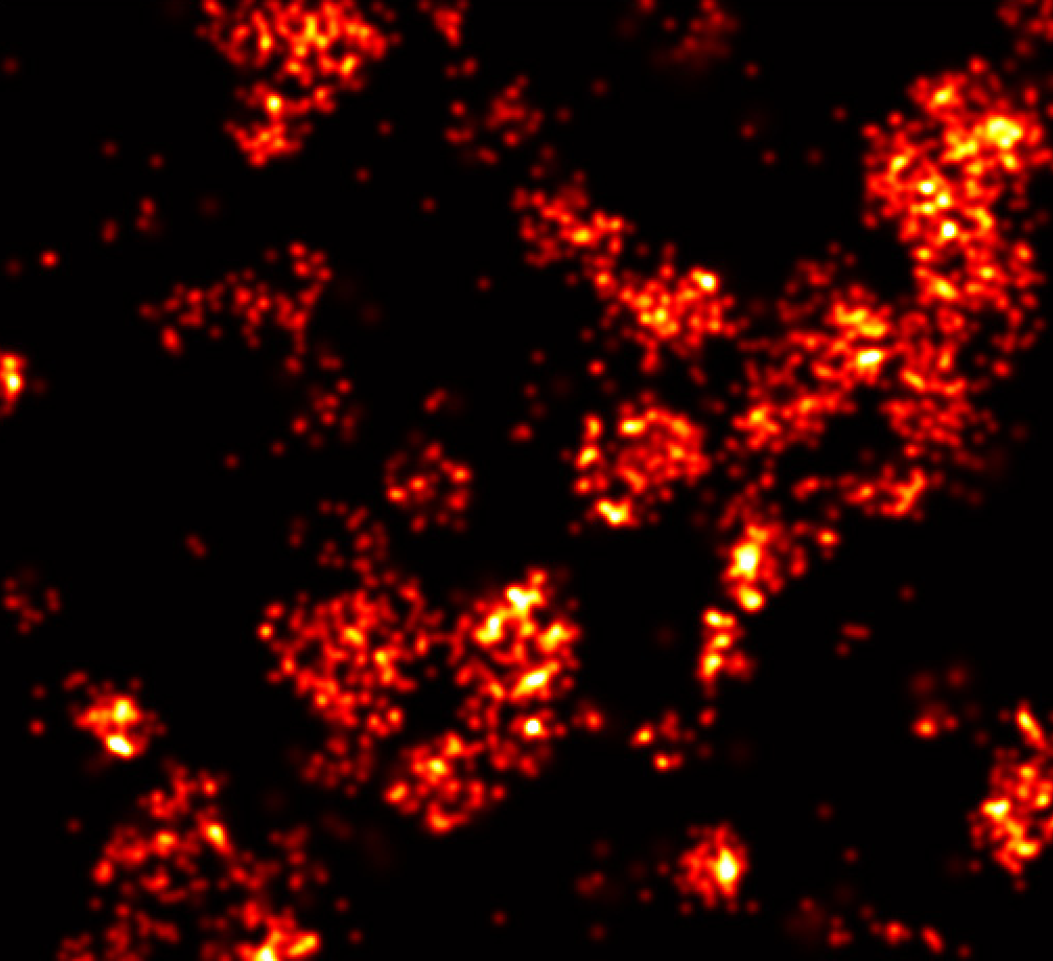 Lots of red dots in cell-like pattern on black background