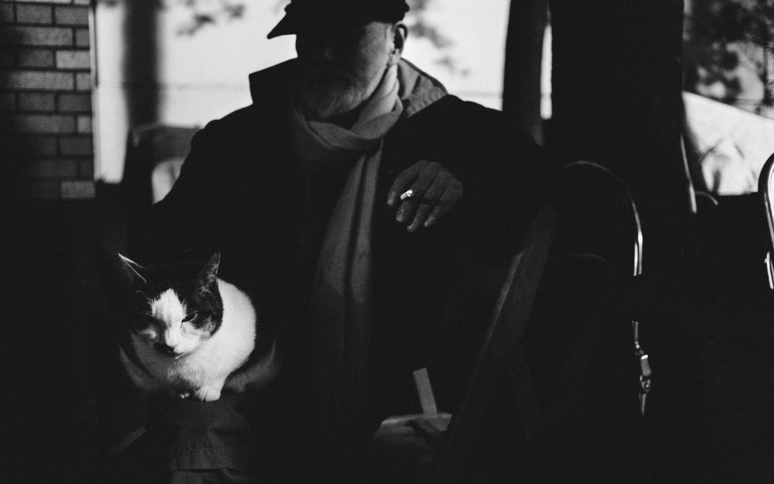 One of the most quiet cats in the area, suddenly just jumping to Ojii-san's lap for warmth.