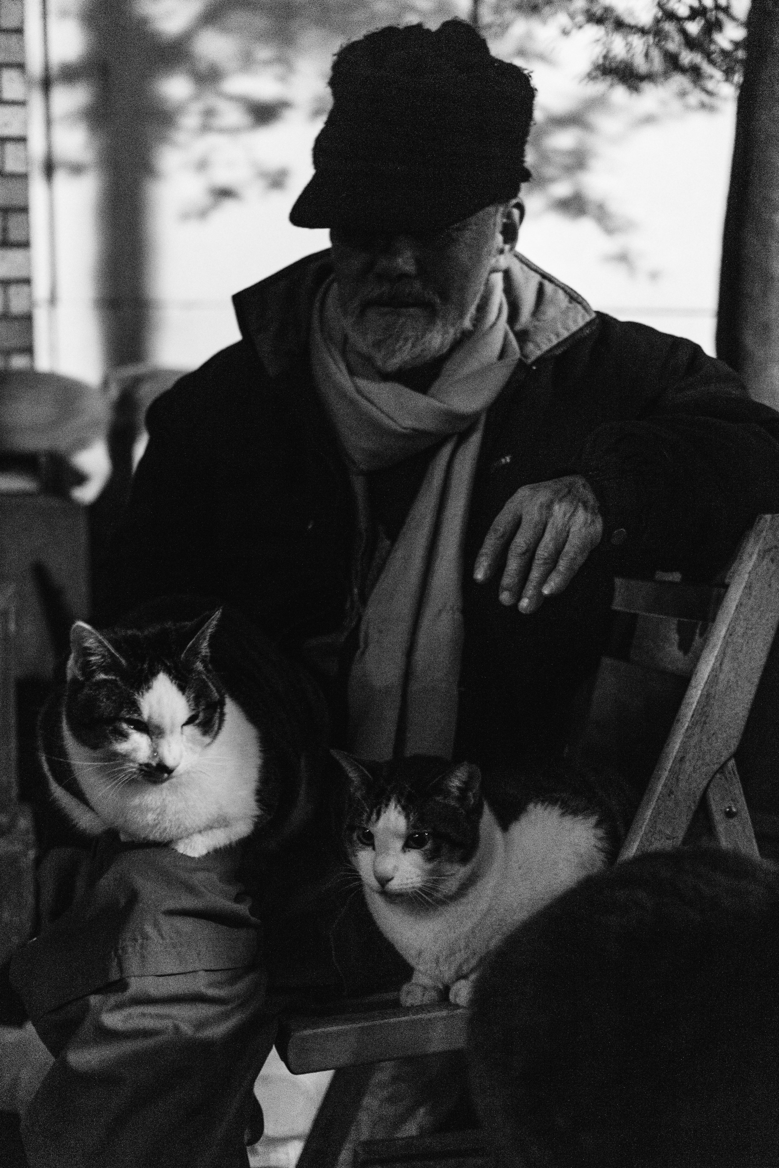 But to the cats, Ojii-san is their world.