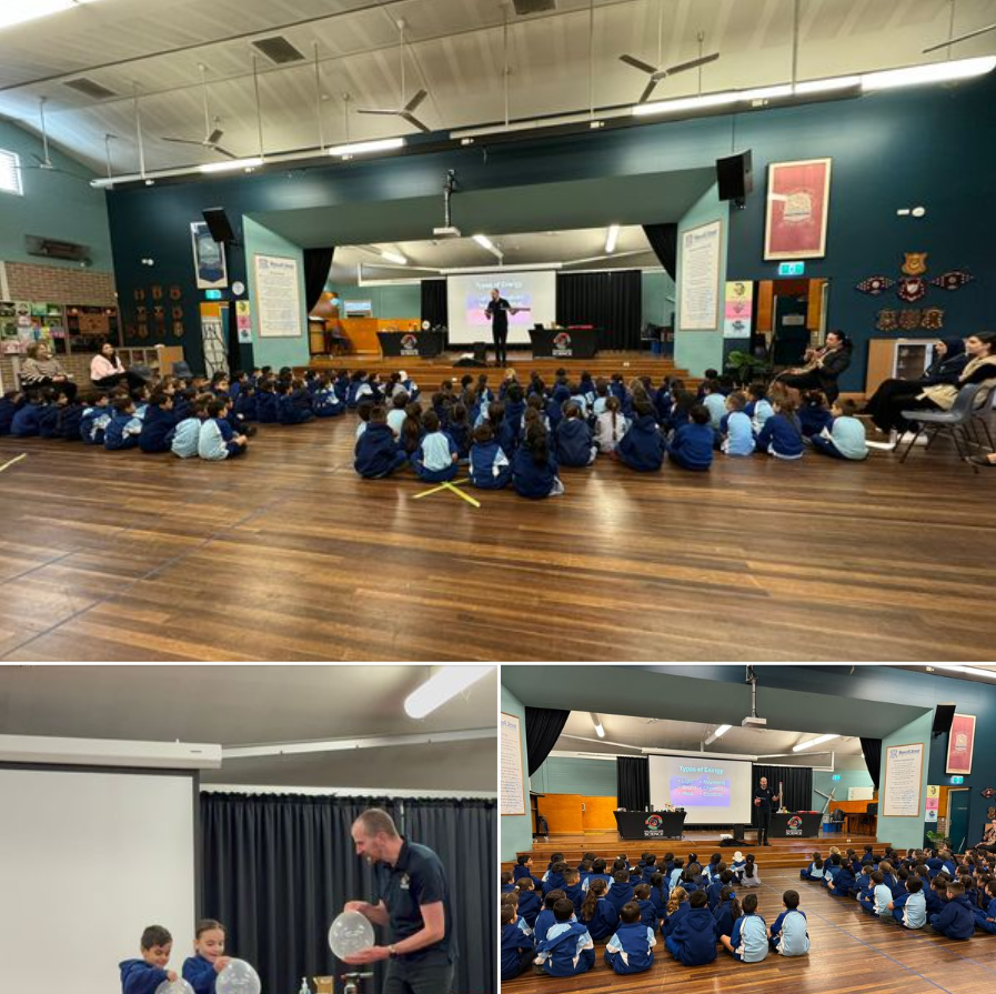 Blaxcell Street Public School