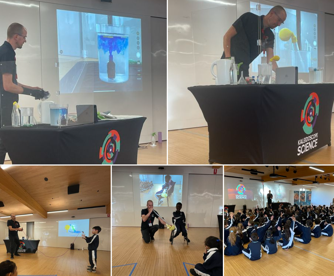 Our Lady of the Assumption Catholic Primary School North Strathfield