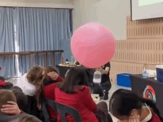 The McDonald College