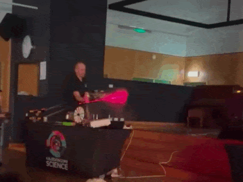 Cardiff South Public School